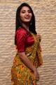 Vakeel Saab Heroine Ananya Nagalla Saree Pics