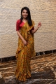 Actress Ananya Nagalla Saree Pics @ Vakeel Saab Maguva Nee Vijayam