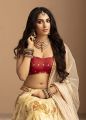 Actress Ananya Ramaprasad Hot Photoshoot Stills