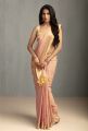 Actress Ananya Ramaprasad Saree Photoshoot Stills