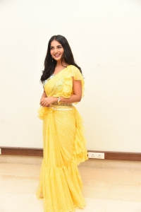 Actress Ananya Nagalla New Stills in Yellow Saree