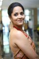 Actress Anasuya Saree Photos @ Rangasthalam Thank You Meet