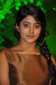 Actress Ulka Gupta @ Andhra Pori Movie Audio Launch Stills