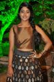 Actress Ulka Gupta @ Andhra Pori Movie Audio Launch Stills