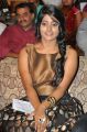 Actress Ulka Gupta @ Andhra Pori Movie Audio Launch Stills