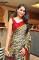 Tamil Actress Andrea in Saree Photos