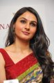 Beautiful Andrea Jeremiah Saree Photos