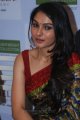 Tamil Actress Andrea in Saree Photos