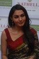 Beautiful Andrea Jeremiah Saree Photos