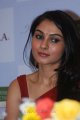 Andrea Jeremiah Saree Stills