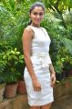 Actress Andrea Hot White Skirt Dress Pics @ Taramani Success Meet