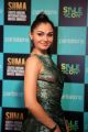 Actress Andrea Jeremiah Images @ SIIMA Awards 2019