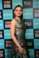 Actress Andrea Jeremiah Images @ SIIMA Awards 2019