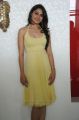 Telugu Actress Andrea in Yellow Short Frock Hot Photos