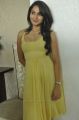 Actress Andrea Latest Hot Photos in Yellow Short Frock