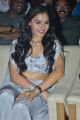 Actress Andrea Jeremiah Photos @ Vishwaroopam 2 Pre Release
