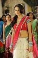 Actress Andrea Jeremiah Hot Saree Photos in Tadakha Movie
