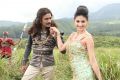 Dhanush, Amyra Dastur in Anegan Movie Photos