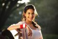 Actress Amyra Dastur At Anegan Movie Stills