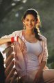 Actress Amyra Dastur in Anegan Tamil Movie Stills