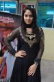 Actress Saniya Tara @ Angaali Pangaali Movie Audio Launch Stills