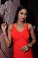 Actress Angana Roy Latest Hot Photos at Celebridge.in Launch