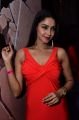 Actress Angana Rai Latest Hot Photos at Celebridge.in Launch