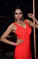 Actress Angana Rai Latest Hot Photos at Celebridge.in Launch