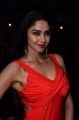 Telugu Actress Angana Roy Hot Photos