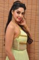 Sri Sri Actress Angana Roy Hot Pics