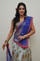 Actress Angana Roy Hot Stills @ Srimanthudu Audio Launch