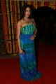 Actress Angana Rao Stills @ Srimanthudu Thanks Meet