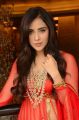 Actress Angela Krislinzki in Red Dress Photos