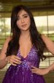 Actress Angela Krislinzki Photos @ Hi-Life Curtain Raiser