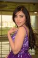 Actress Angela Krislinzki Photos @ Hi-Life Curtain Raiser