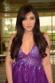 Actress Angela Krislinzki Photos @ Hi-Life Curtain Raiser