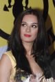 Actress Evelyn Sharma at Adyar Gold's Gym inauguration stills