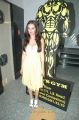 Actress Evelyn Sharma at Adyar Gold's Gym inauguration stills