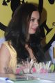 Actress Evelyn Sharma at Adyar Gold's Gym inauguration stills