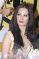 Actress Evelyn Sharma at Adyar Gold's Gym inauguration stills