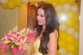 Actress Evelyn Sharma at Adyar Gold's Gym Launch in Adyar Chennai