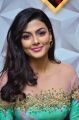 Telugu Actress Anisha Ambrose Stills