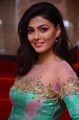 Telugu Actress Anisha Ambrose Stills