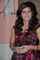 Anisha Singh Hot Pics Images