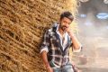 Tamil Actor Suriya in Anjaan Movie Latest Photos