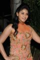 Actress Anjali Hot Images at Masala Platinum Disc Function