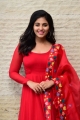 Heroine Anjali Cute Images @ Vakeel Saab Movie Success Meet