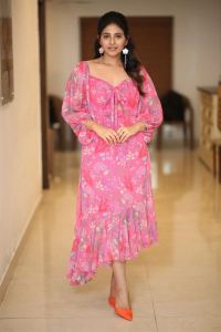 Actress Anjali Latest Pics @ Gangs of Godavari Interview