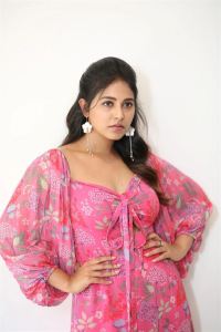 Actress Anjali Latest Pics @ Gangs of Godavari Interview