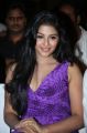 Actress Anjali Hot Photos at Balupu Movie Success Meet